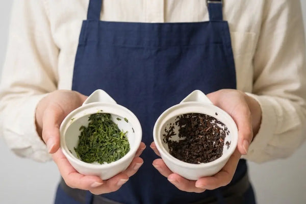 Green Tea vs. Black Tea: Differences, Health Benefits, Caffeine & Taste