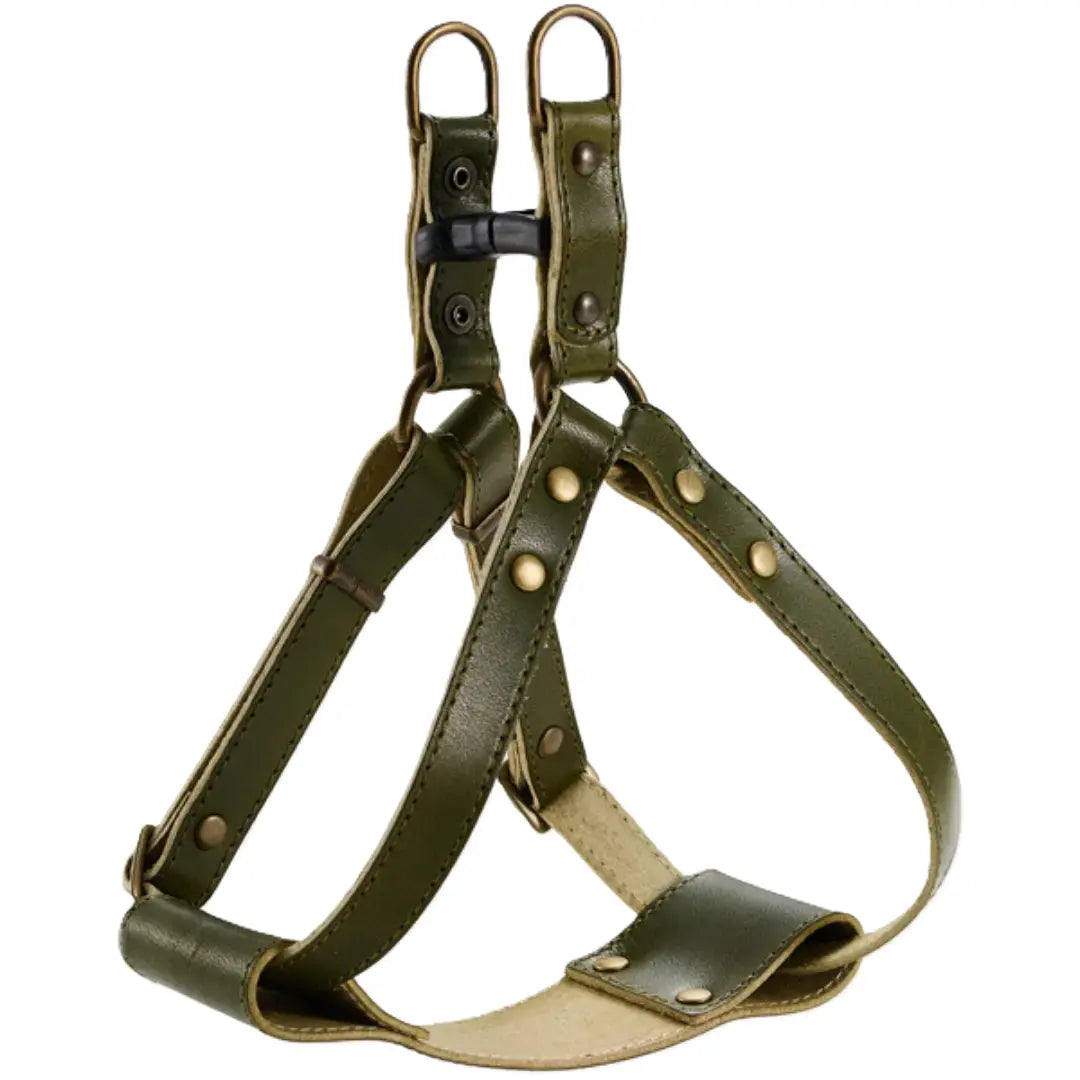 Bonbi Pets Tochigi Harnais pour chien en cuir de vache Vert olive