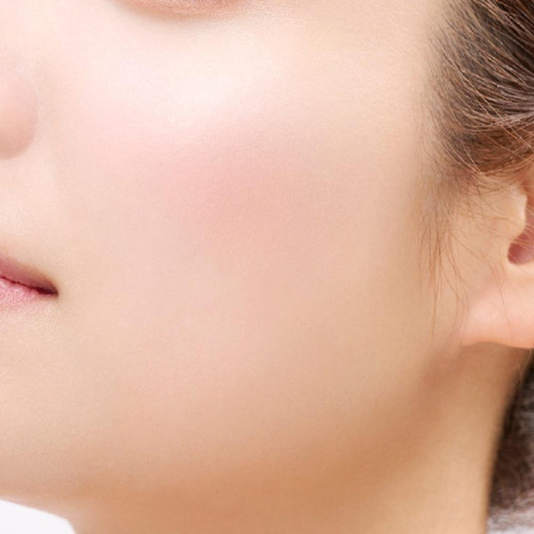 Etvos-Mineral-Pressed-Cheek-Two-Tone-Blush-Palette-4-5g-5-2025-07-30T06:43:41.979Z.jpg