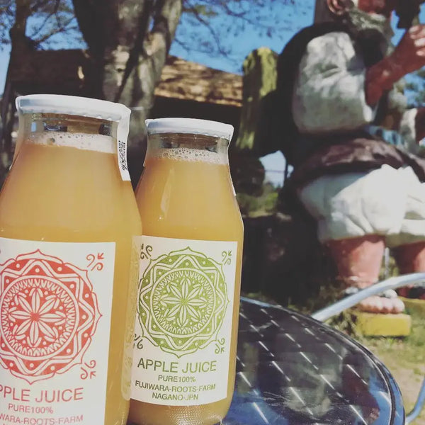 Fujiwara-Roots-Farm-Pure-Natural-Nagano-Apple-Juice-180ml-5-2025-12-18T08:03:38.166Z.webp