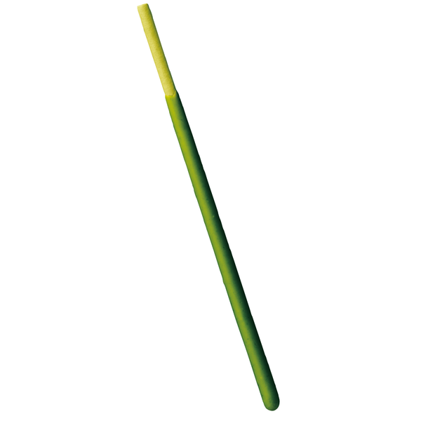 Glico-Matcha-Pocky-Green-Tea-Pocky-Sticks--Pack-of-3-3-2025-10-02T07:27:59.553Z.png