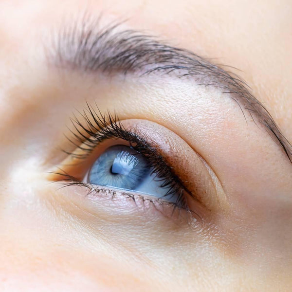 Isehan-Kiss-Me-Heroine-Make-Smooth-Liquid-Eyeliner-Bitter-Brown-2-2025-09-03T07:05:06.214Z.jpg