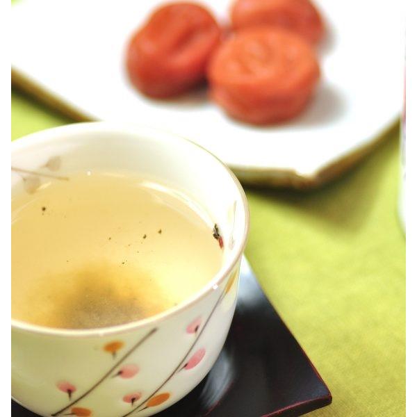 Izuri-Konbucha-Natural-Ume-Plum-and-Kelp-Tea-Powder-40g-2-2026-05-08T07:08:53.631Z.jpg