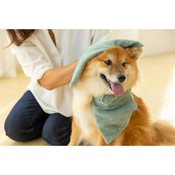 Jogan-Pet-Towel-Super-Absorbant-Bath-Towel-for-Pets-Green-34��78cm-9-2024-07-16T00:42:59.895Z.jpg
