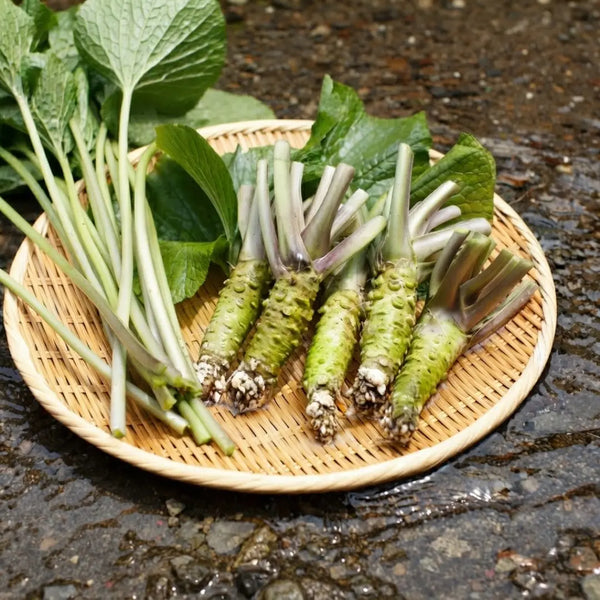 Kameya Wasabi Dressing Sauce à vinaigrette polyvalente véritable wasabi 200 ml