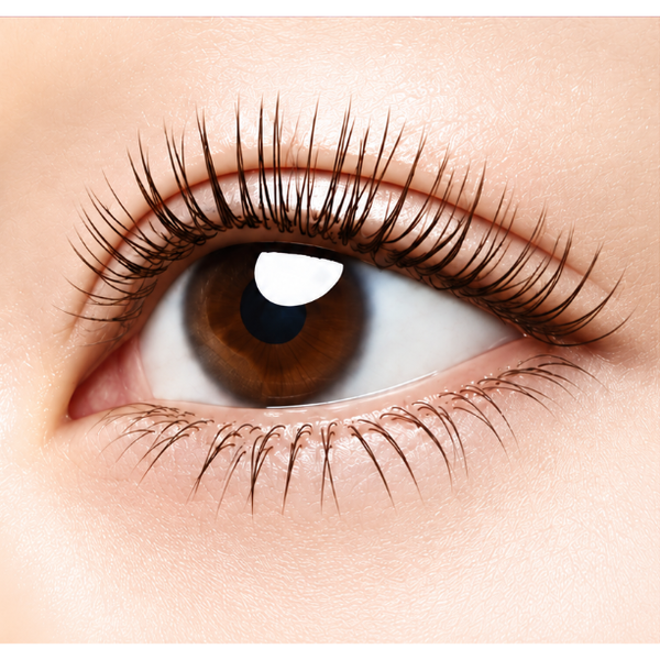 Kosé Fasio Mascara Longue Durée Curl & Waterproof Noir