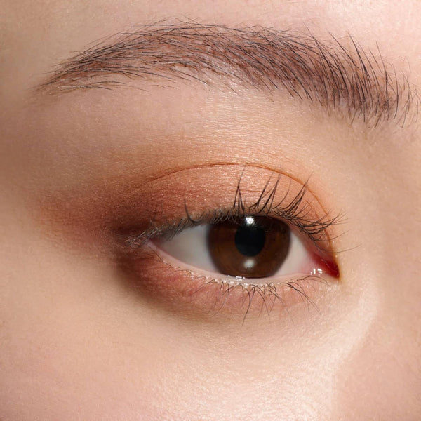 Lunasol Eye Coloration N Eyeshadow Quad