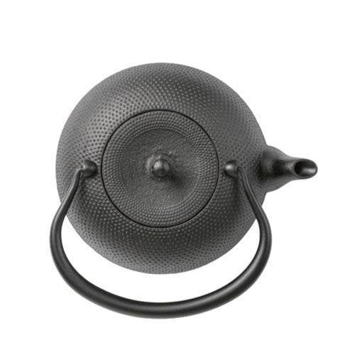 P-3-OIGN-TTSBIN-H159S-Oigen Nambu Iron Kettle Tetsubin Kangetsu Arare H-159S 1.jpg