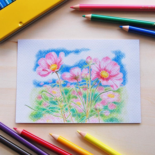 P-3-TMBW-COLPNCL-CBNQ12C-Tombow Colored Pencils 12 Colors CB-NQ12C.jpg