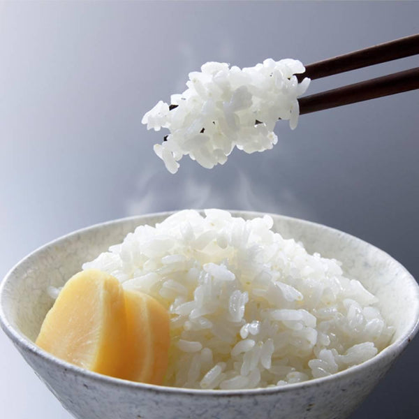 Pickled-Daikon-Radish-Additive-Free-Takuan-Whole-Stick-1-Piece-2-2025-11-19T02:18:58.960Z.jpg