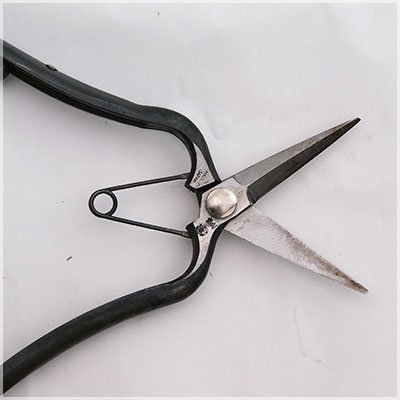 Saboten-Blade-and-Knife-Cleaner-Eco-Friendly-Disinfectant-300ml-5-2025-01-06T06:45:09.285Z.jpg