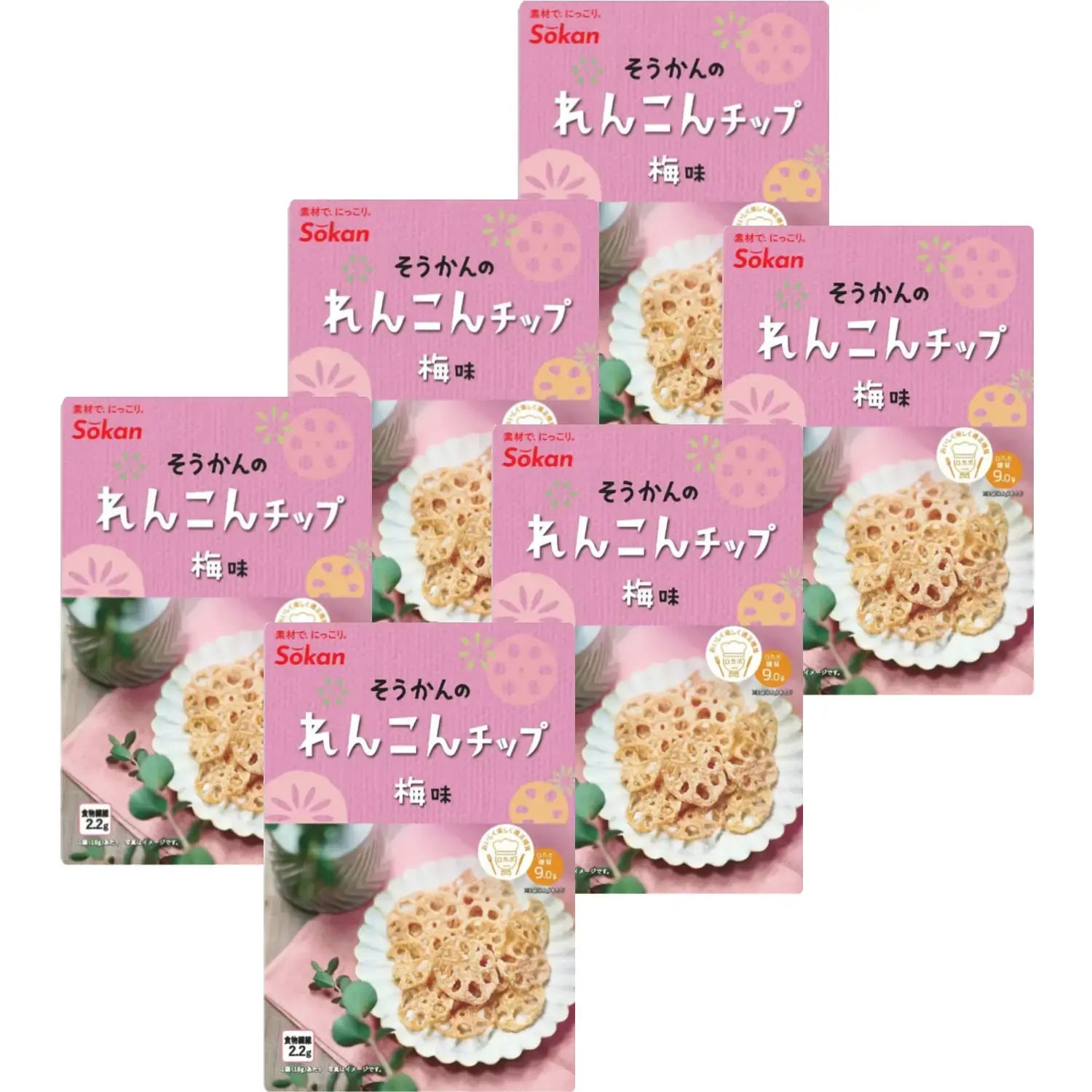 Sokan-Ume-Renkon-Chips-Japanese-Plum-Flavored-Lotus-Root-Chips-18g-Pack-of-6-1-2026-02-26T04:57:18.831Z.webp
