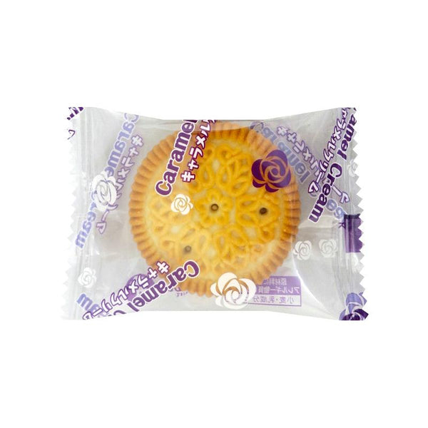 Takara-Seika-New-Hi-Mix-Sharing-Size-Assorted-Biscuits-6-Variations-230g-6-2025-11-25T02:00:42.928Z.jpg