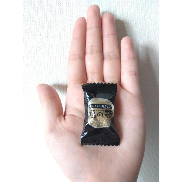UHA-Mikakuto-Shio-no-Hana-Chocolate-Filled-Salt-Caramel-Candy-78g-3-2025-06-17T01:10:56.248Z.jpg