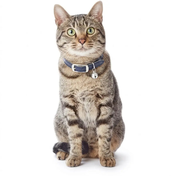 Add.Mate Collier pour chat en cuir de vache avec boucle à dégagement de sécurité Bleu 20-25 cm