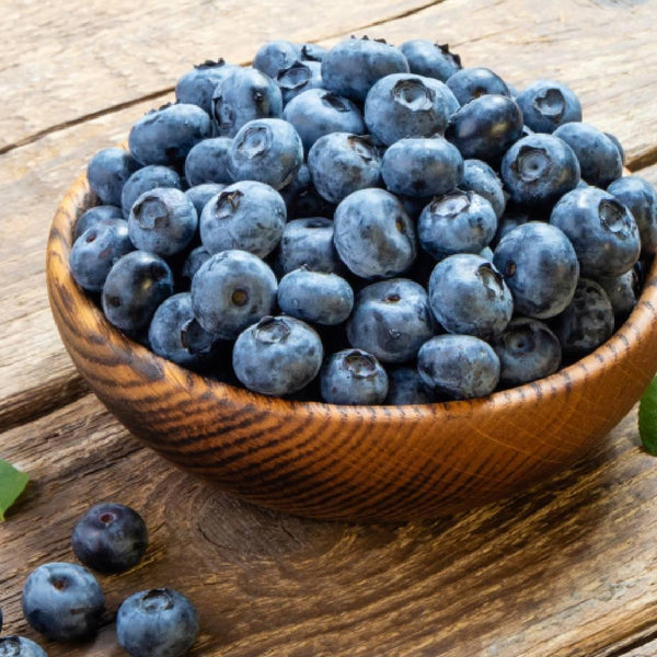 Blueberry-Syrup-Additive-Free-Kakigori-Shaved-Ice-Syrup-260g-3-2026-03-30T10:51:03.041Z.jpg