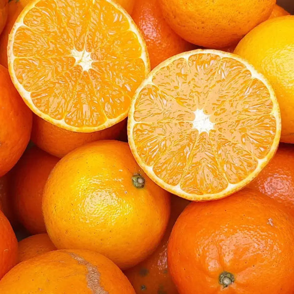 Chikyubatake-Organic-Handmade-Tankan-Citrus-Marmalade-Jam-140g-3-2026-05-07T06:01:34.290Z.webp