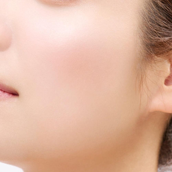 Etvos-Mineral-Pressed-Cheek-Two-Tone-Blush-Palette-4-5g-7-2025-07-30T06:43:41.979Z.jpg