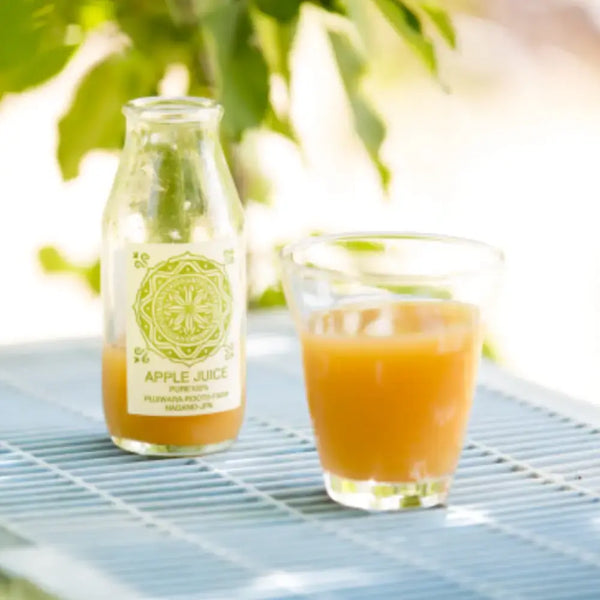 Fujiwara-Roots-Farm-Pure-Natural-Nagano-Apple-Juice-180ml-3-2025-12-18T08:03:38.165Z.webp