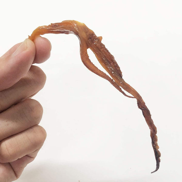 Genkotsu-Japanese-Seasoned-Dried-Squid-Snack-60-pcs--4-2026-02-24T07:03:11.519Z.jpg