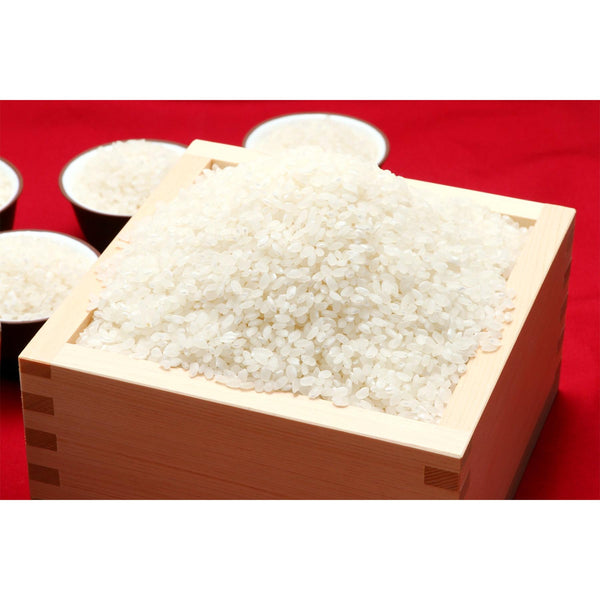 Gishi-Mochiko-Flour-Japanese-Glutinous-Rice-Flour-250g-5-2025-04-01T00:39:43.540Z.jpg