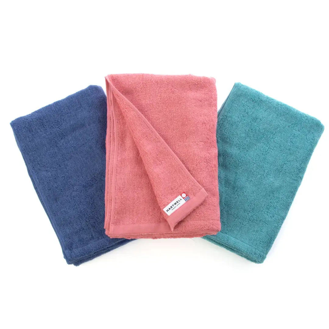 Hartwell Antibacterial Deodorizing Bath Towel Quick Dry Towel 60x120cm
