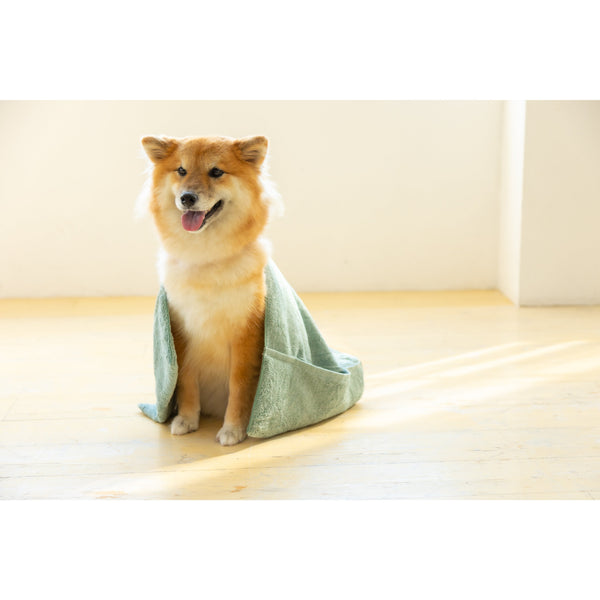 Jogan-Pet-Towel-Super-Absorbant-Bath-Towel-for-Pets-Green-34��78cm-10-2024-07-16T00:42:59.895Z.jpg