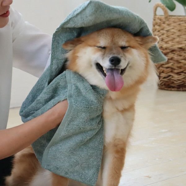 Jogan-Pet-Towel-Super-Absorbant-Bath-Towel-for-Pets-Green-34��78cm-12-2024-07-16T00:42:59.896Z.jpg