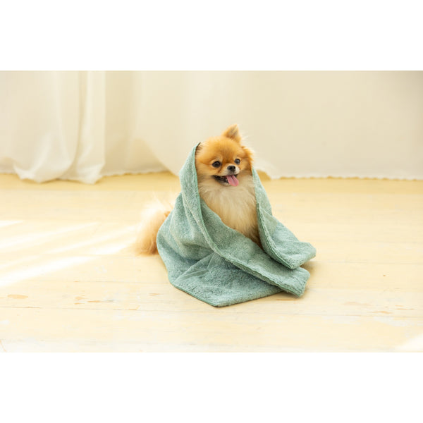 Jogan-Pet-Towel-Super-Absorbant-Bath-Towel-for-Pets-Green-34��78cm-3-2024-07-16T00:42:59.895Z.jpg