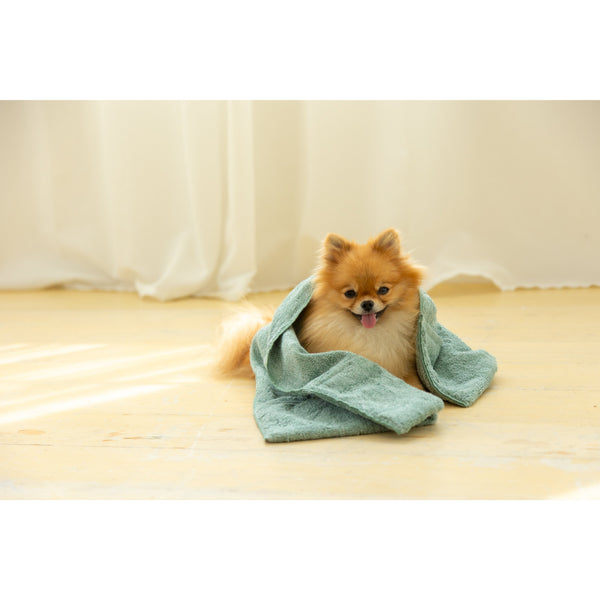 Jogan-Pet-Towel-Super-Absorbant-Bath-Towel-for-Pets-Green-34��78cm-4-2024-07-16T00:42:59.895Z.jpg