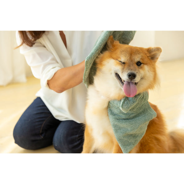Jogan-Pet-Towel-Super-Absorbant-Bath-Towel-for-Pets-Green-34��78cm-6-2024-07-16T00:42:59.895Z.jpg