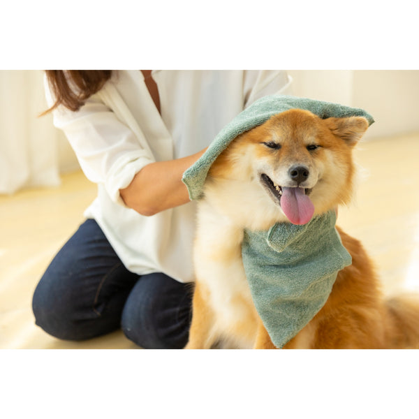 Jogan-Pet-Towel-Super-Absorbant-Bath-Towel-for-Pets-Green-34��78cm-7-2024-07-16T00:42:59.895Z.jpg