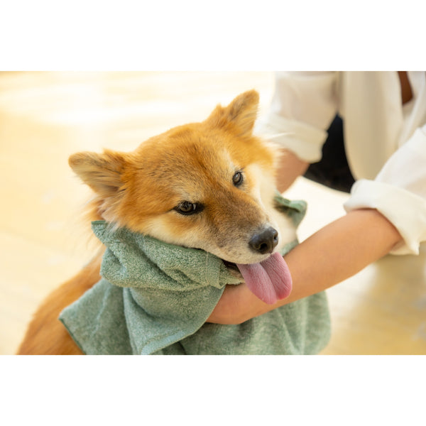 Jogan-Pet-Towel-Super-Absorbant-Bath-Towel-for-Pets-Green-34��78cm-8-2024-07-16T00:42:59.895Z.jpg