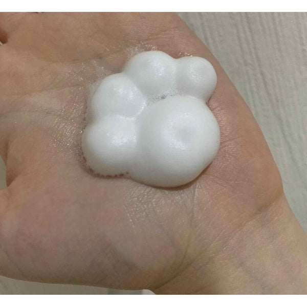 Kao-Biore-Paw-Pad-Shaped-Foaming-Hand-Wash-240ml-2-2025-06-17T02:13:55.505Z.jpg