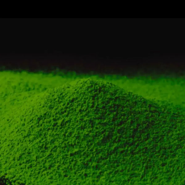 Kayu-no-Mukashi-Uji-Matcha-Powder-Premium-Koicha-Rich-Matcha-30g-3-2026-04-01T03:02:55.691Z.webp