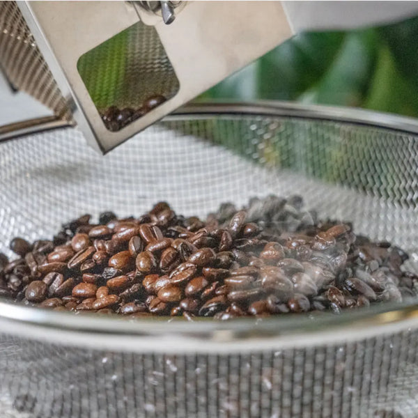 Tambour de torréfaction de grains de café à manivelle compacte Kogu pour la torréfaction à domicile