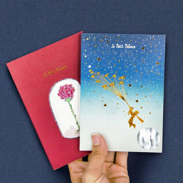 Le-Petit-Prince-Pocket-Notebook-Foil-Stamped-Starry-Design-5-2025-08-26T02:10:57.995Z.jpg