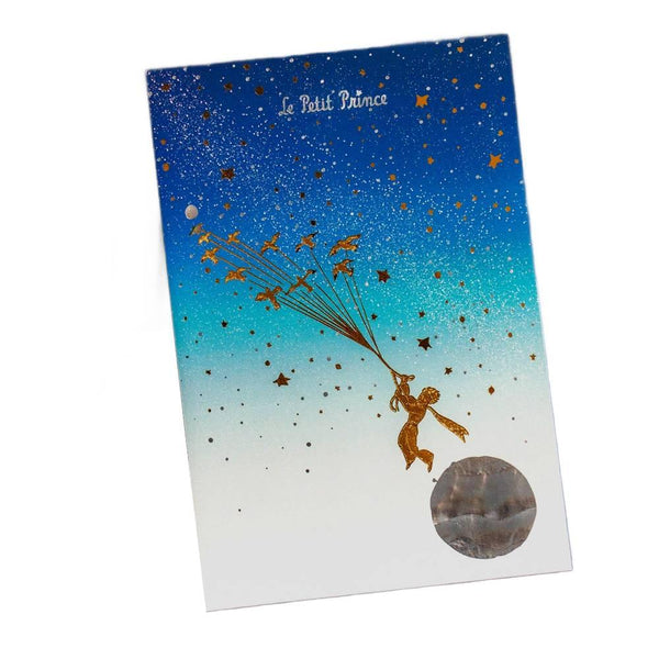 Le-Petit-Prince-Postcard-Foil-Stamped-Migratory-Birds-Starry-Design-1-2025-08-06T05:33:51.737Z.jpg