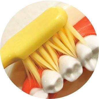Life-Range-Narrow-Head-Toothbrush-Ultra-Fine-High-Density-Medium-Bristles-3-2025-07-23T08:41:49.900Z.jpg