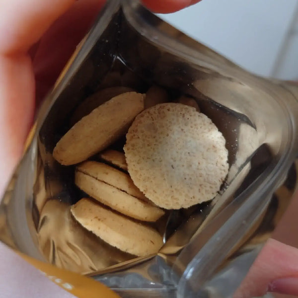 Lotte-Zero-Biscuits-Sugar-Free-Butter-Cookies-Pack-of-6-4-2026-02-25T08:35:46.212Z.webp