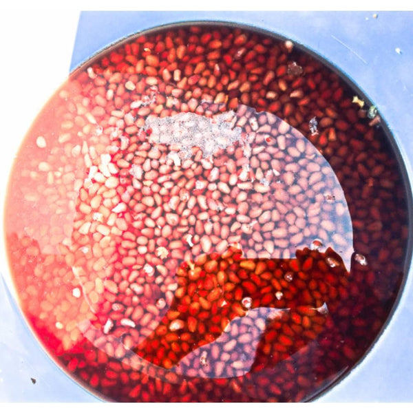 Marushige-Aged-Concentrated-Pomegranate-Vinegar-Beauty-Drink-185ml-4-2025-08-11T03:15:19.575Z.jpg