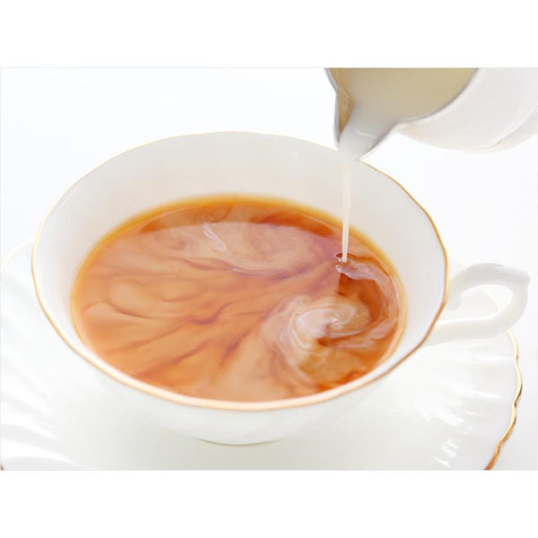 Morinaga-Hagukumi-Pregnancy-Supplement-Milk-Tea-Flavor-10-Servings-2-2025-05-09T02:24:47.324Z.jpg