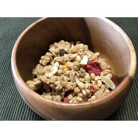 Nissin-Gorogura-Mixed-Fruits-Granola-Cereal-Maple-Flavor-280g-2-2026-03-02T07:51:05.950Z.jpg