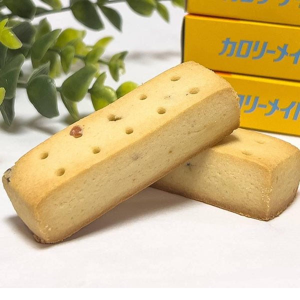 Otsuka-Calorie-Mate-Block-Balanced-Nutrition-Food-Vanilla-4-Bars-3-2025-11-18T05:25:08.141Z.jpg