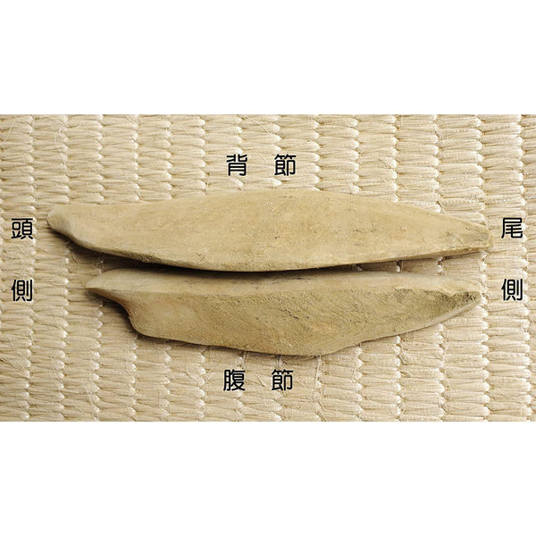 Honkarebushi Whole Japanese Katsuobushi Block (Bonito Belly) 1 Piece