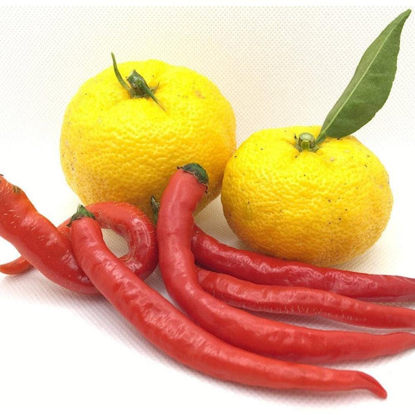 P-2-FNDK-YUZKOS-RD50-Fundokin Red Yuzu Kosho Sauce Spicy Citrus Seasoning Paste 50g.jpg