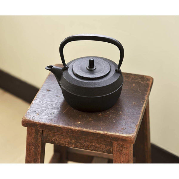 P-2-IWCH-TTSBIN-11950-Iwachu Tetsubin Kettle Baum Japanese Cast Iron Teapot 1.jpg