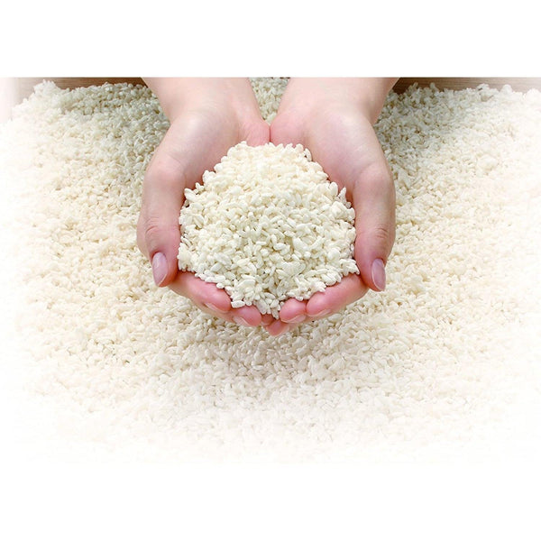 P-2-MKME-PLKOJI-100-Marukome Plus Koji Dried Malted Rice for Amazake Rice Drink 100g.jpg