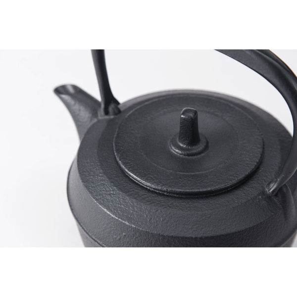 P-3-IWCH-TTSBIN-11950-Iwachu Tetsubin Kettle Baum Japanese Cast Iron Teapot 1.jpg