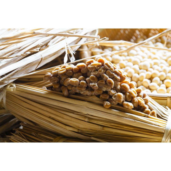 P-3-KWGU-NATPOW-75-Kawaguchi Natto Freeze Dried Powdered Natto Beans 75g.jpg